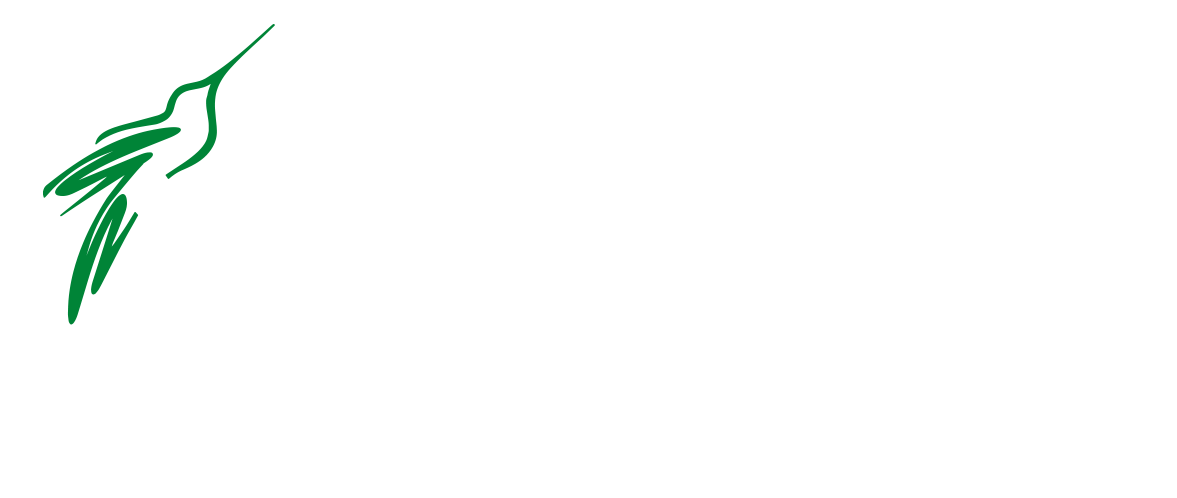 NG Stones